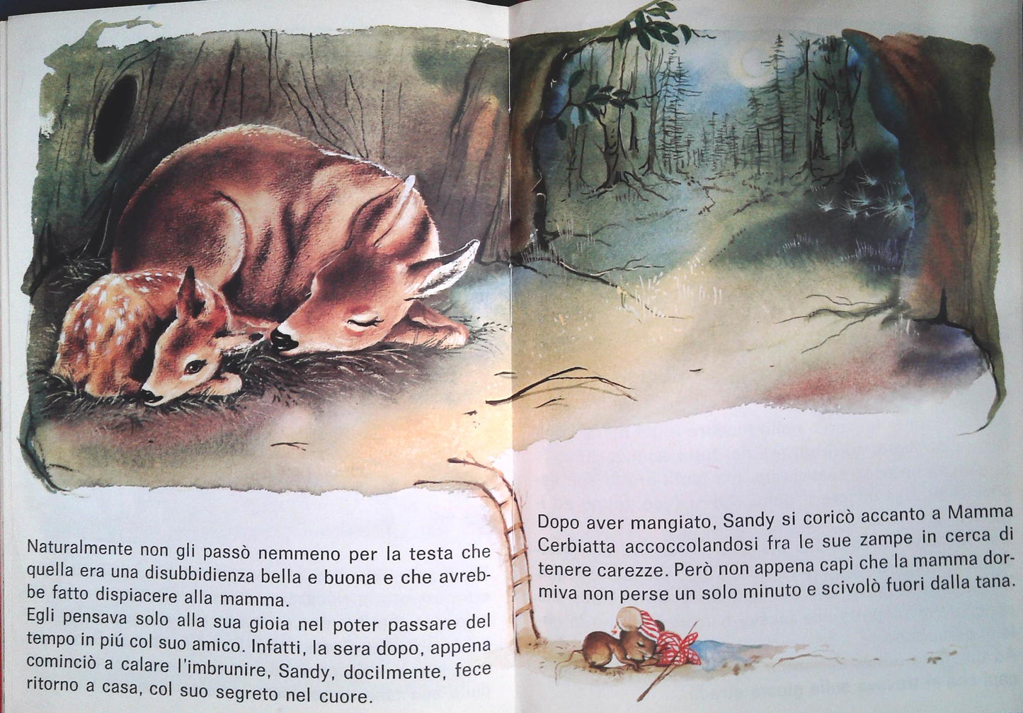 BIG IL GIARDINO DEGLI ANIMALI