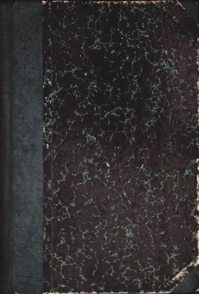 IL ROMANZO DI BEATRICE PORTINARI - GIOVANNI FEDERZONI - CAPPELLI 1911