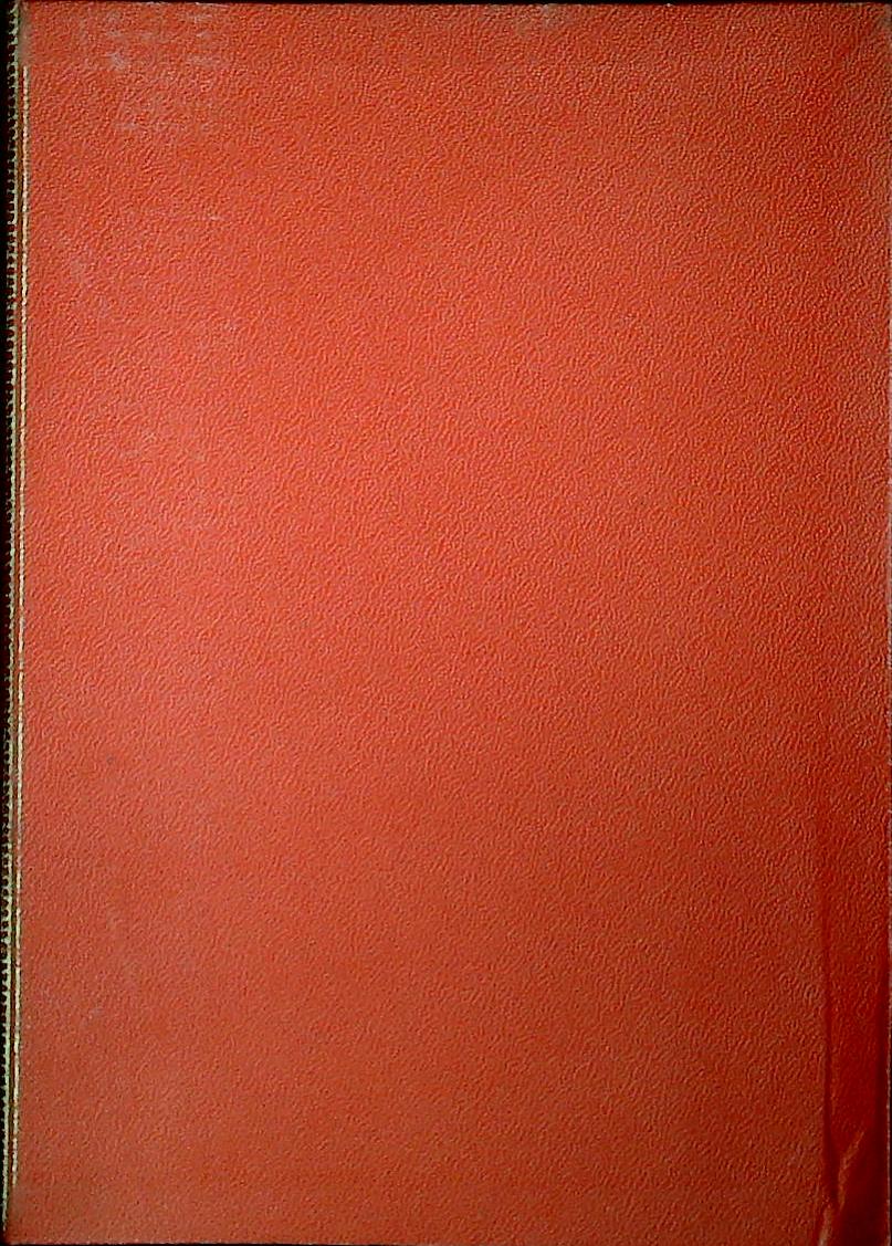 TAPPETI D'OCCIDENTE - MICHELE CAMPANA