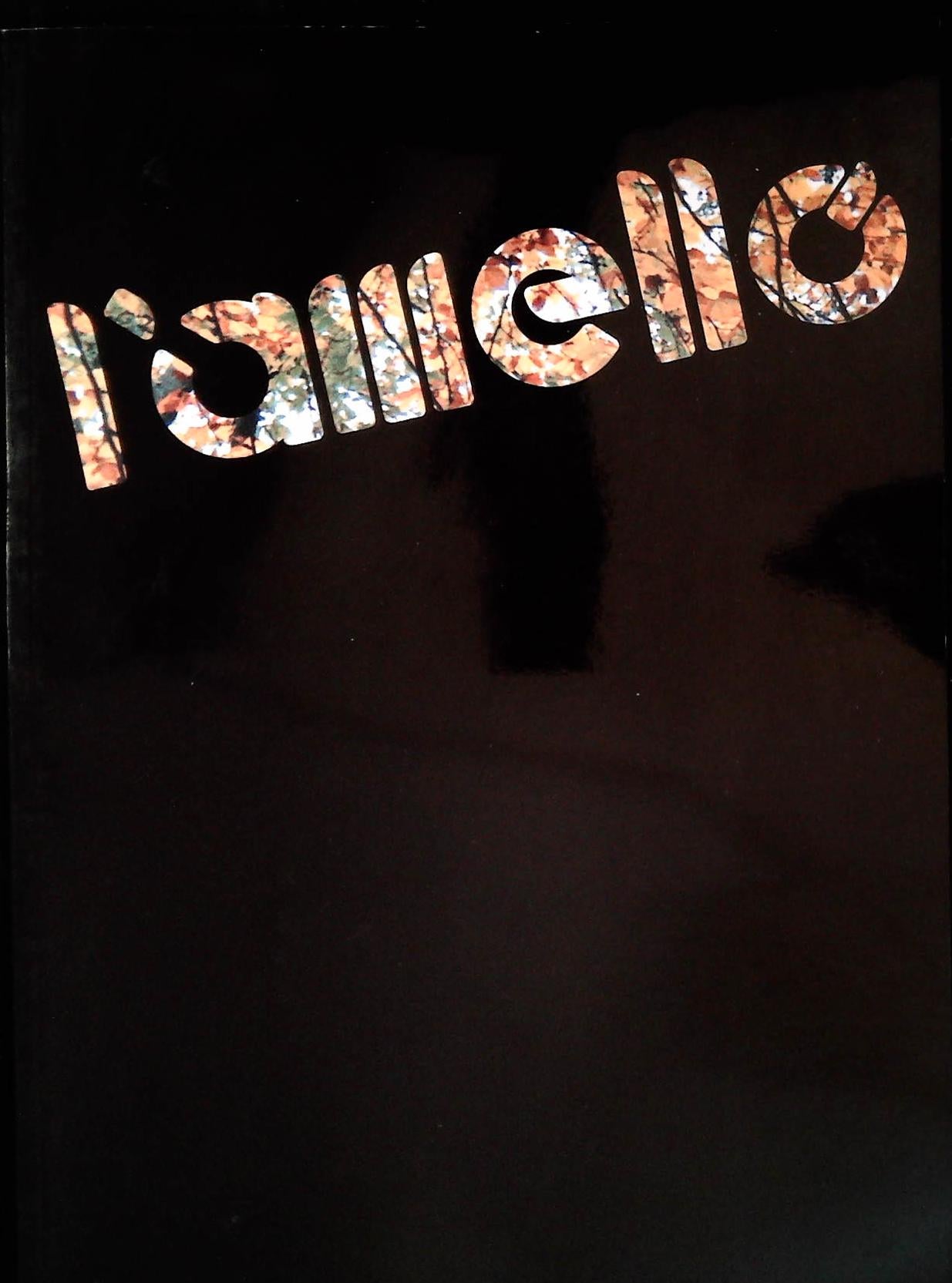 L'AMELLO - SETTEMBRE 1991