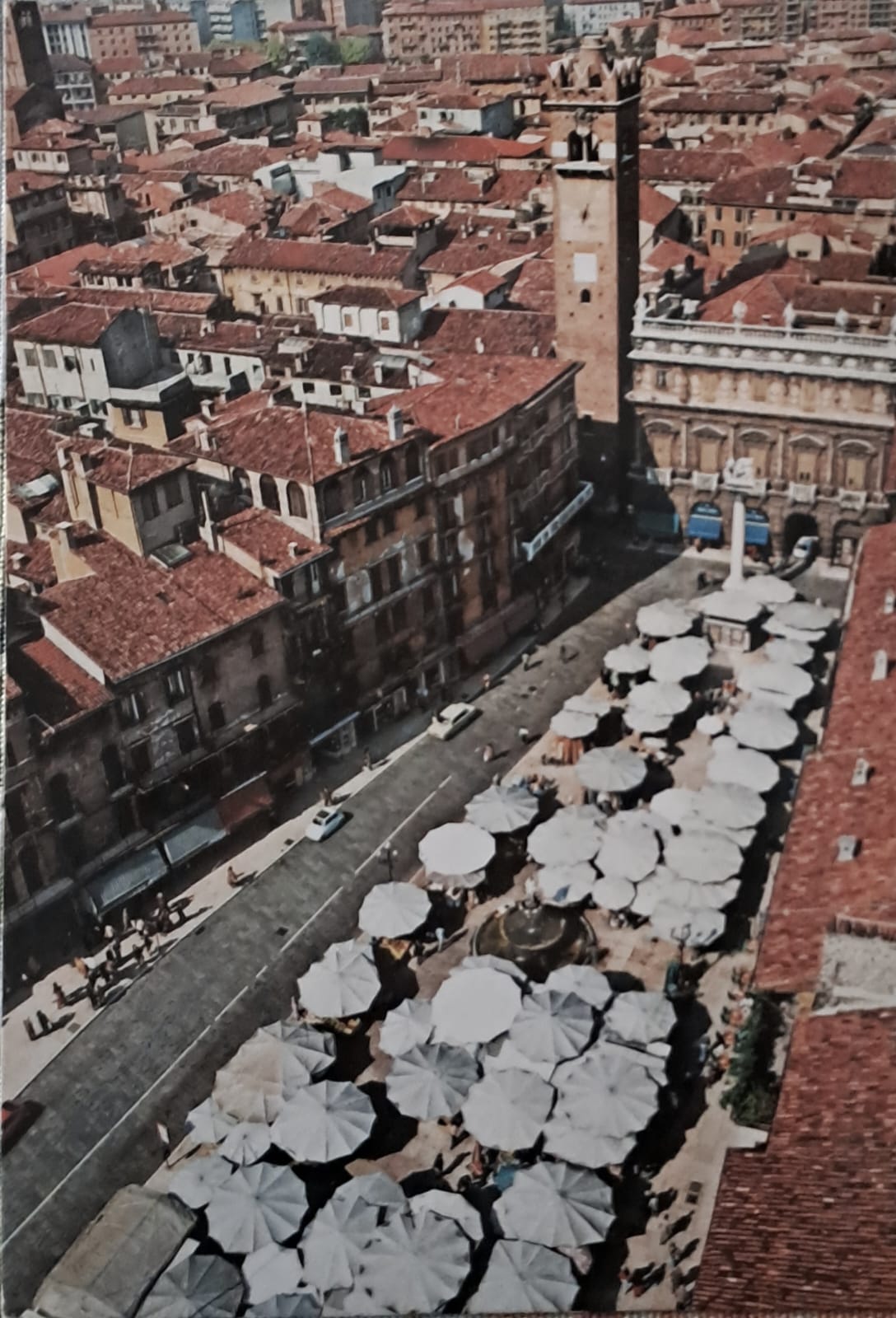 VERONA - PIAZZA ERBE - V1980 - FG