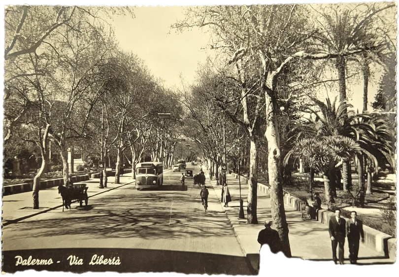 PALERMO - VIA LIBERTA' - V1954 - FG - FILOBUS