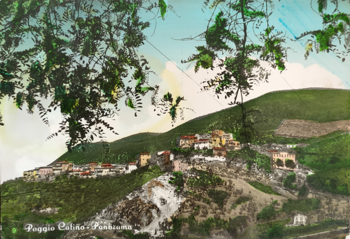 POGGIO CATINO - PANORAMA - V1962 - FG - ACQUQRELLATA