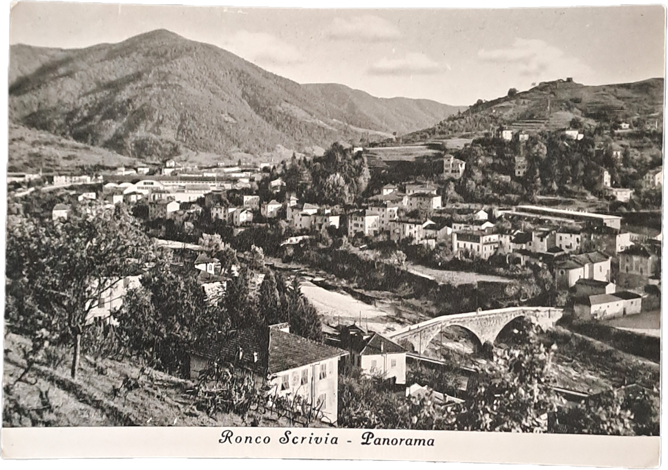 RONCO SCRIVIA - PANORAMA - V1952 - FG