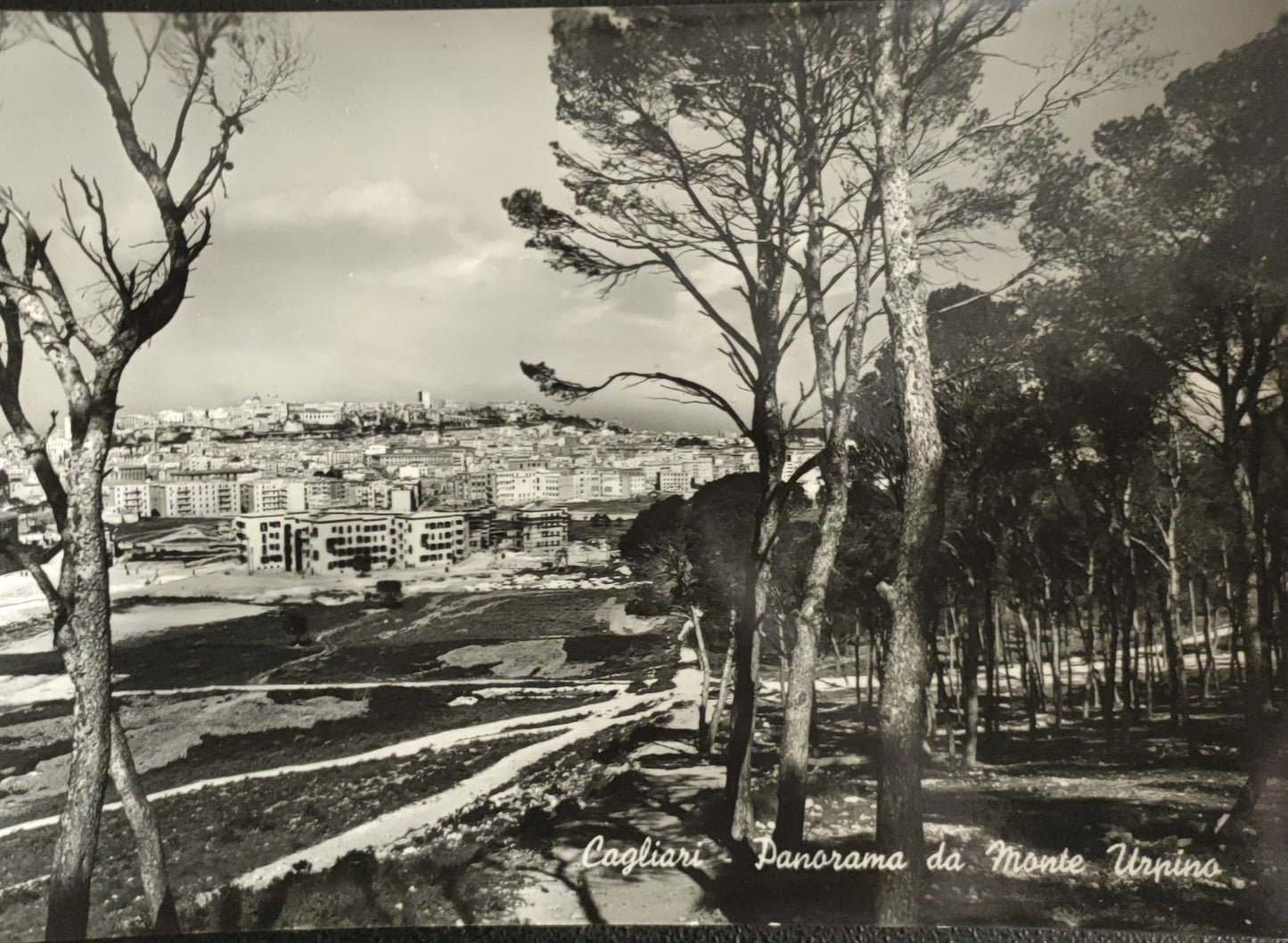 CAGLIARI - PANORAMA - NV - FG