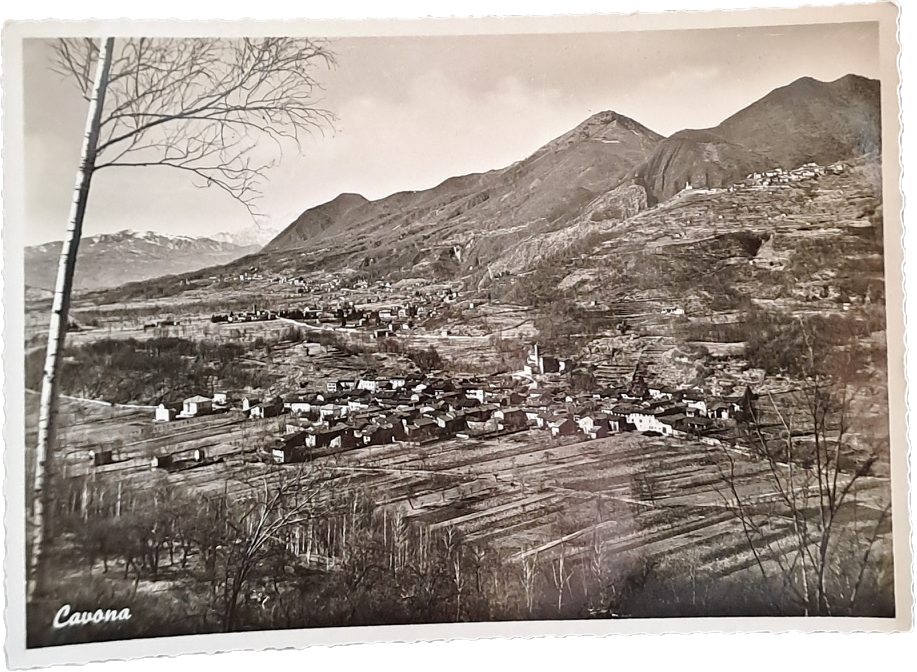 CAVONA - PANORAMA - VSD FG