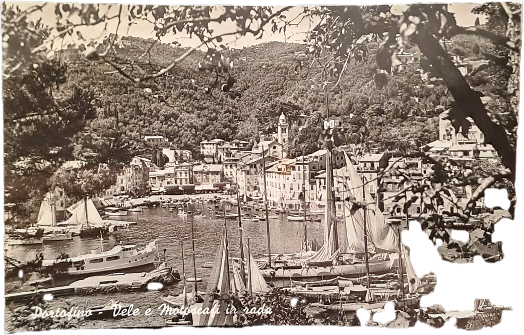 PORTOFINO - PANORAMA - V1953 - FP