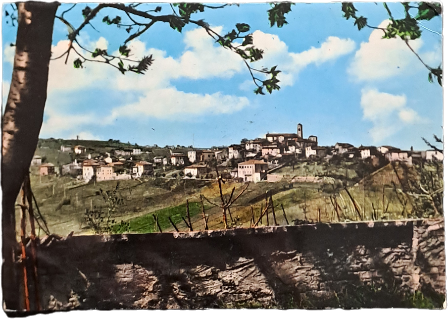 ZIANO PIACENTINO - PANORAMA - V1963 - FG