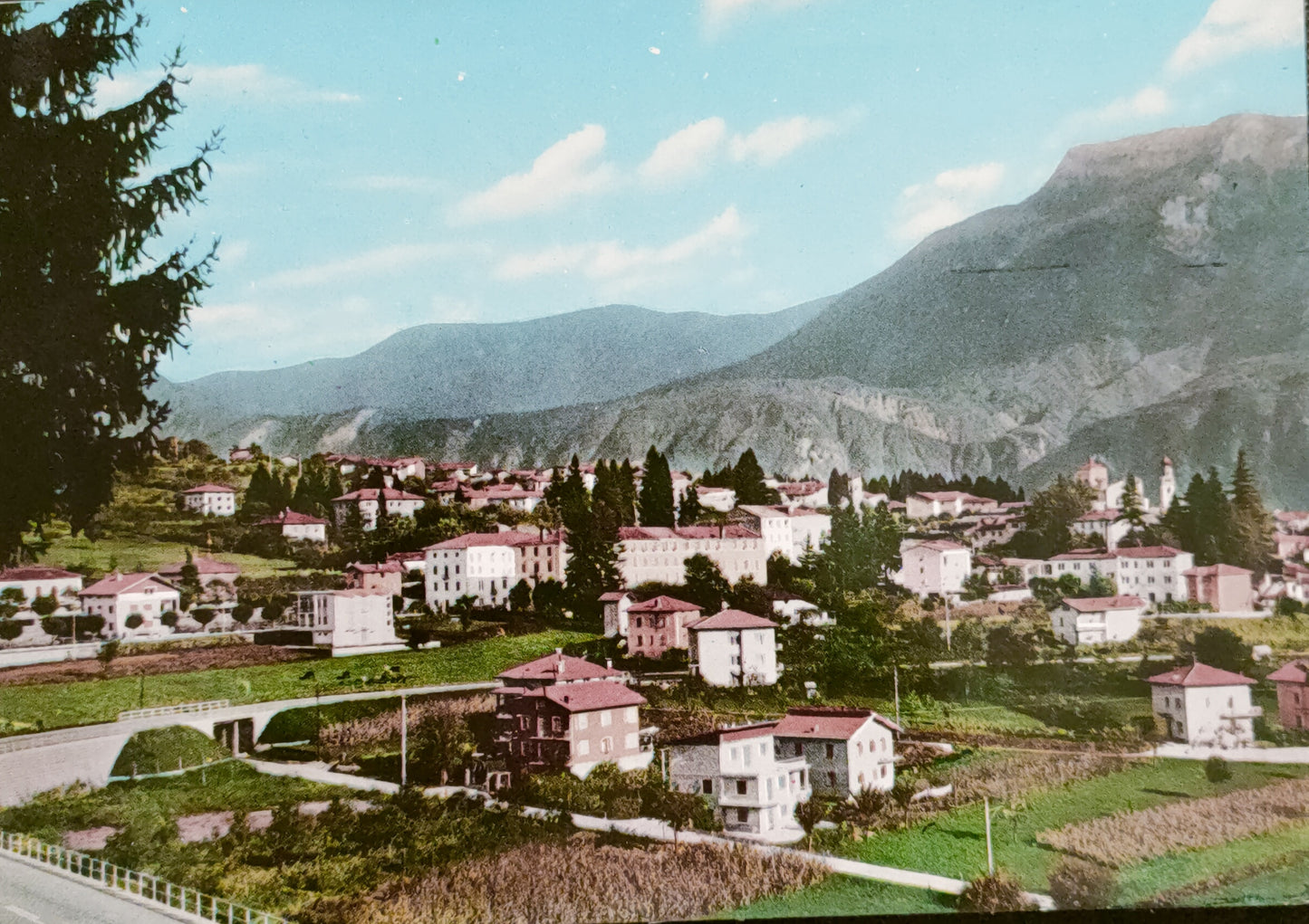 LEVICO TERME - PANORAMA - V1955 - FG