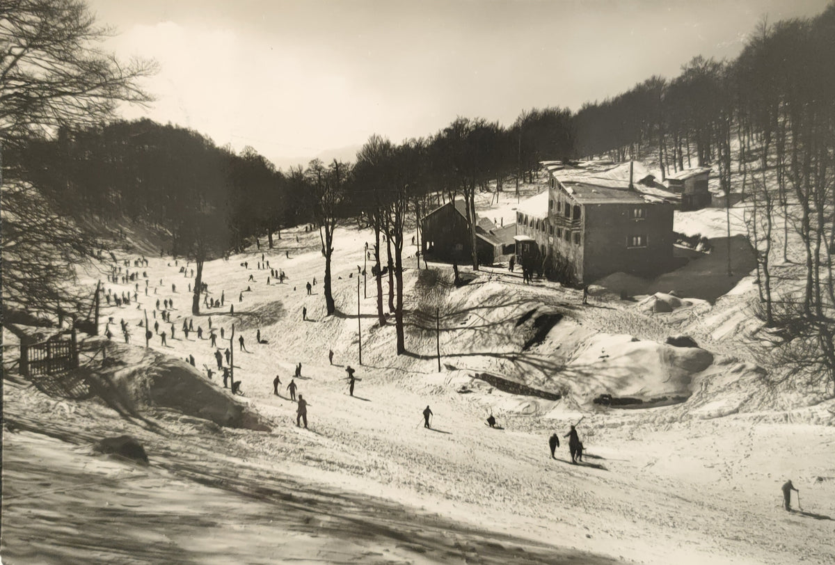 TERMINILLO - PANORAMA - V1951 - FG