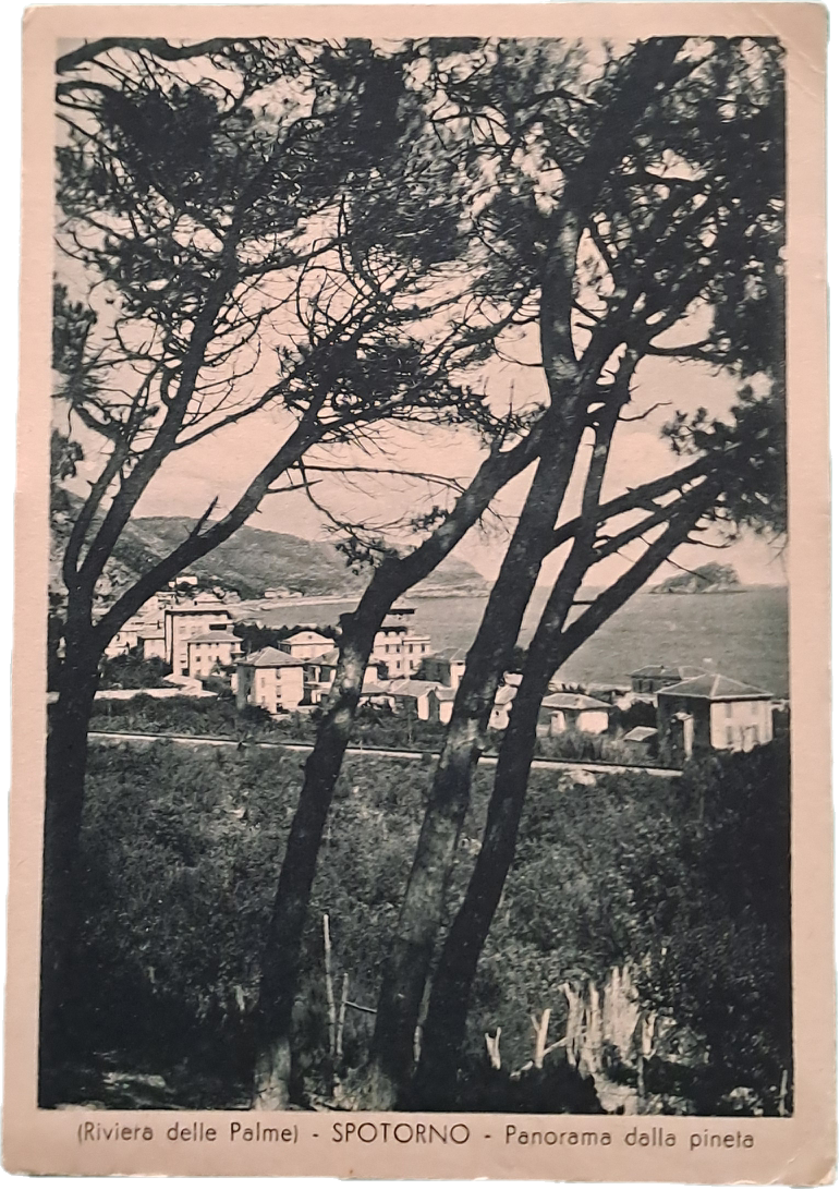 SPOTORNO - RIVIERA DELLE PALME - PANORAMA - V1952 - FG