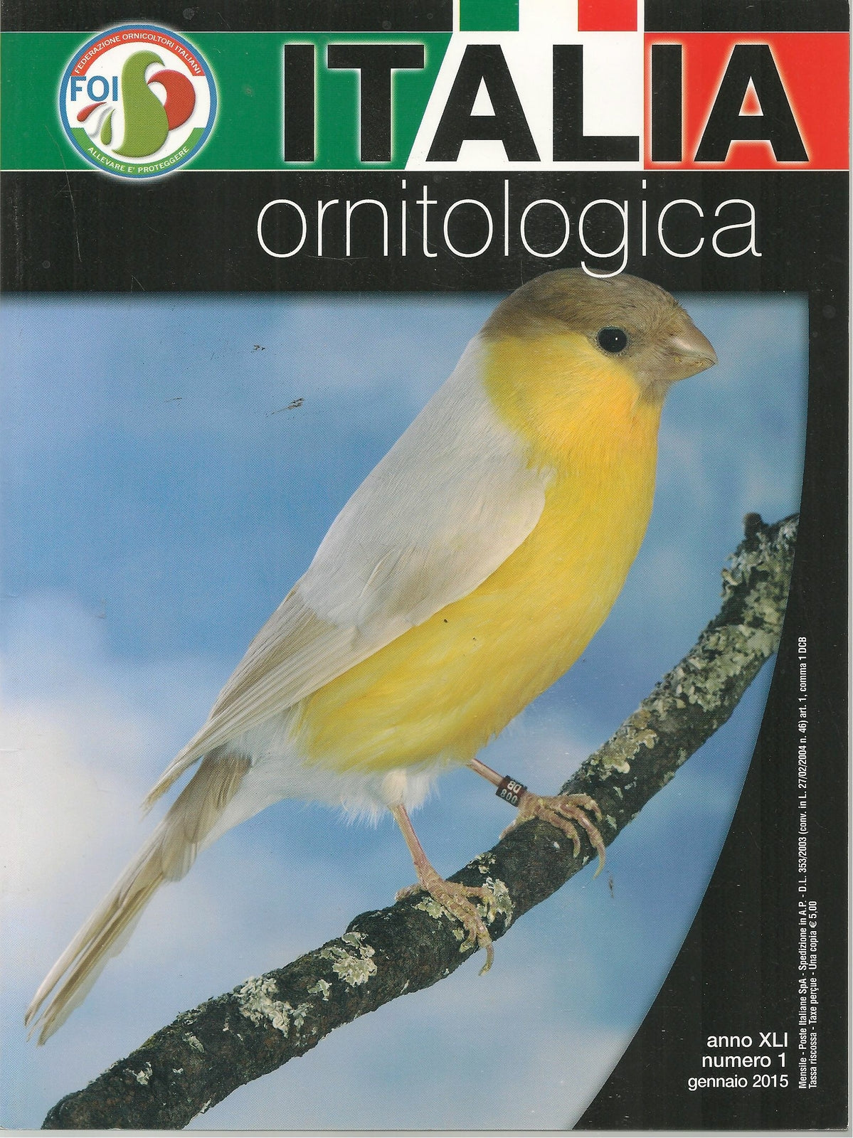 ITALIA ORNITOLOGICA - GENNAIO 2015