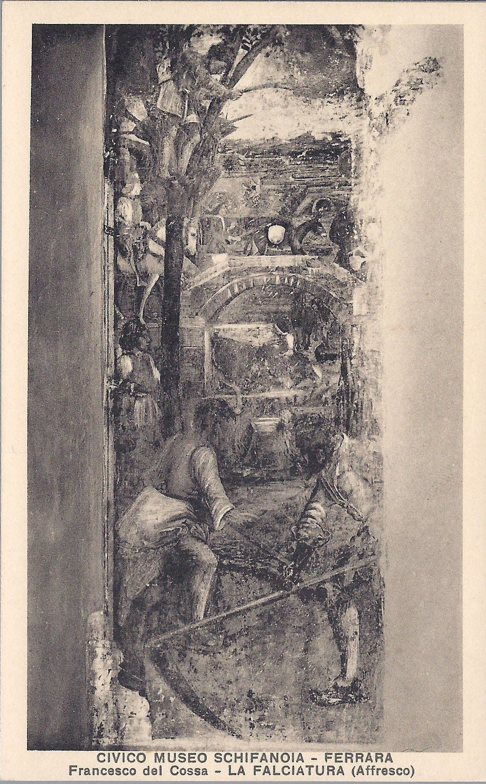 FERRARA - MUSEO SCHIFANOIA - LA FALCIATURA - FRANCESCO DEL C