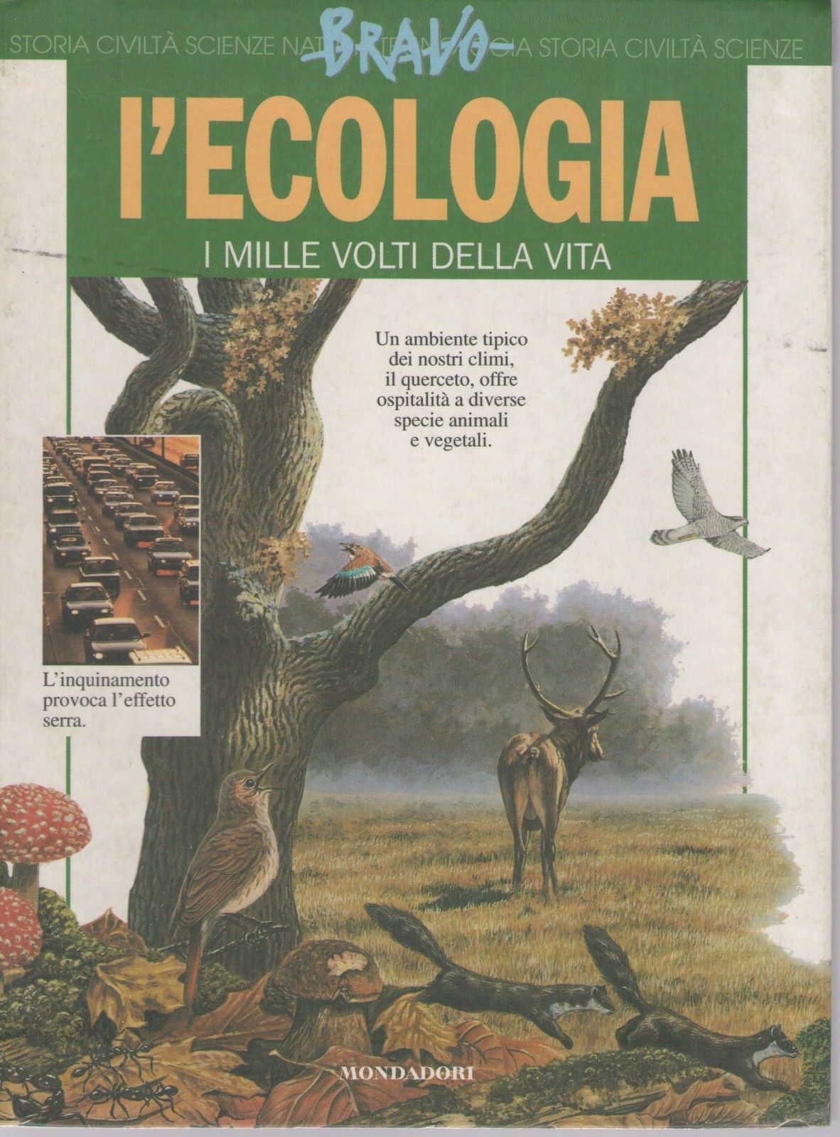 L'ECOLOGIA I MILLE VOLTI DELLA VITA - CARLO RONDONINI