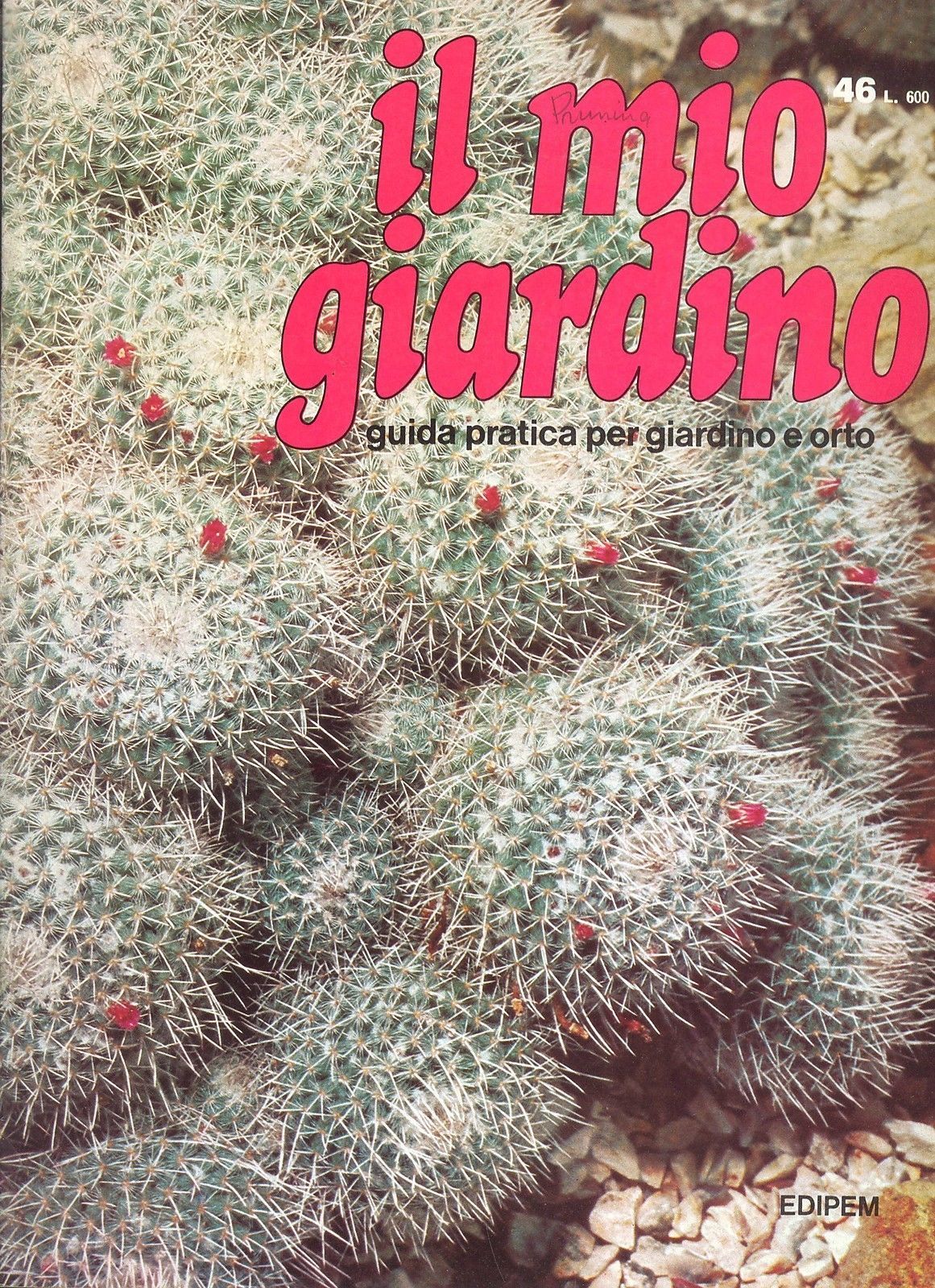 IL MIO GIARDINO N 46