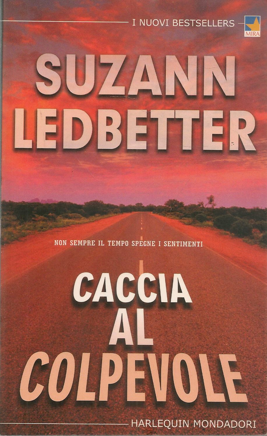 CACCIA AL COLPEVOLE - SUZANN LEDBETTER