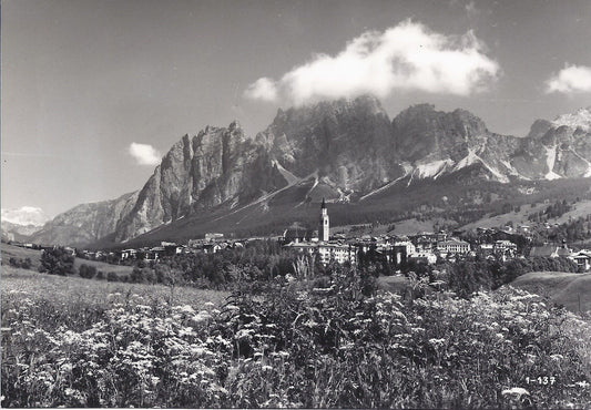 CORTINA - POMAGAGNON - NV - FG