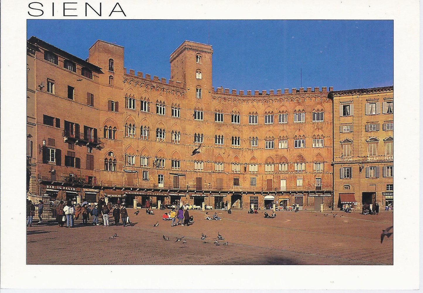 SIENA - PALZZO SANSEDONI - NV - FG
