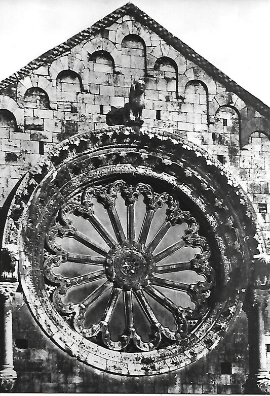 BITONTO CATTEDRALE - ROSA DELLA FACCIATA PRINCIPALE - NV