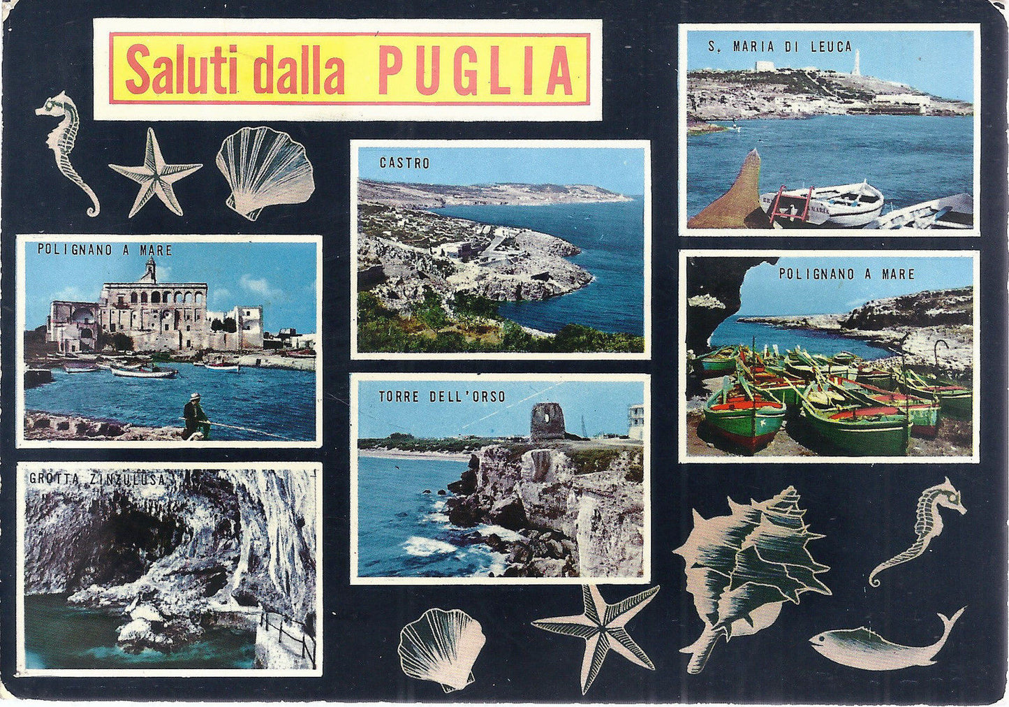 SALUTI DALLA PUGLIA - VEDUTINE - V 1972 - FG