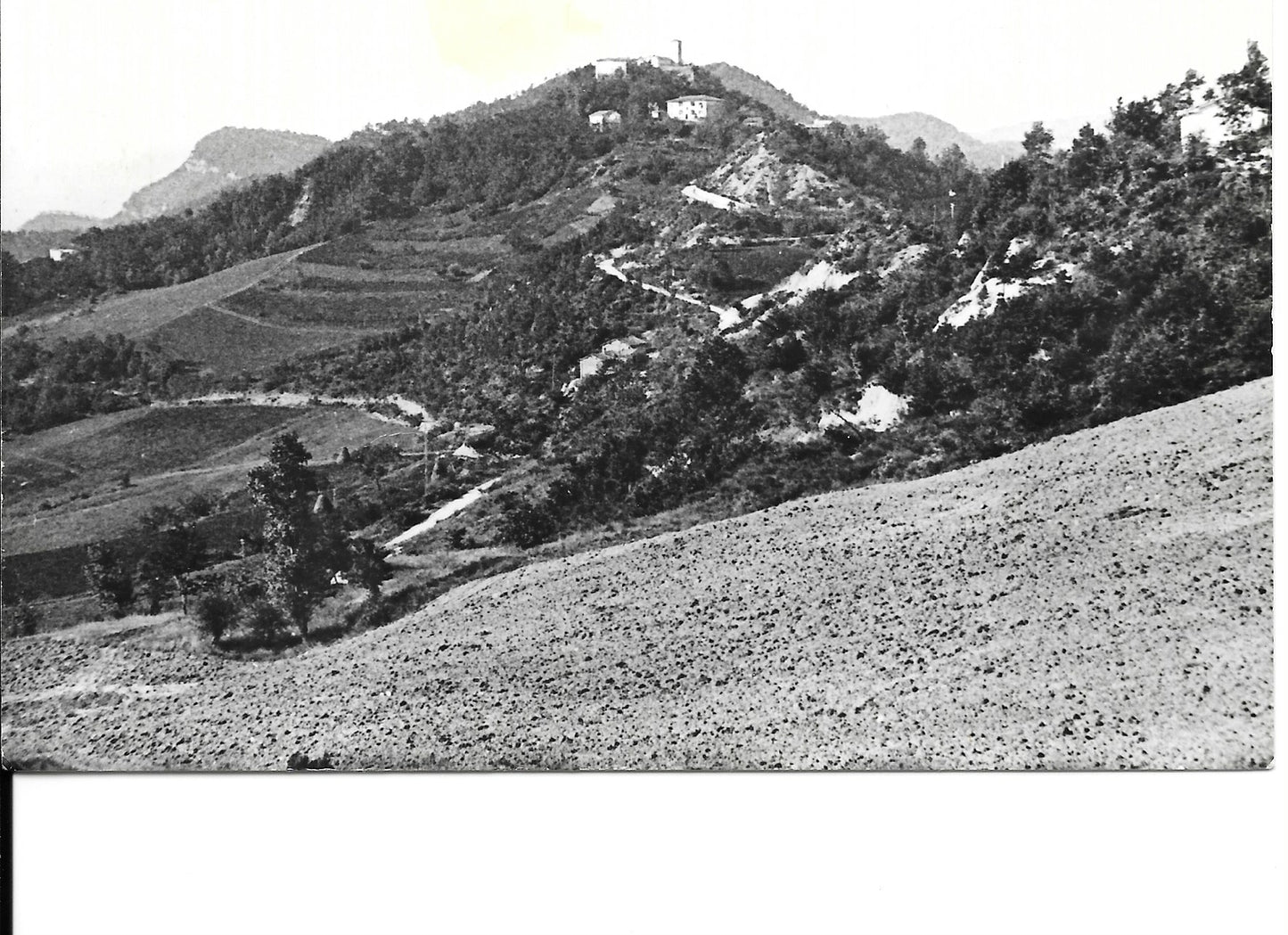 CASTELNUOVO DI VERGATO - PANORAMA - V1966