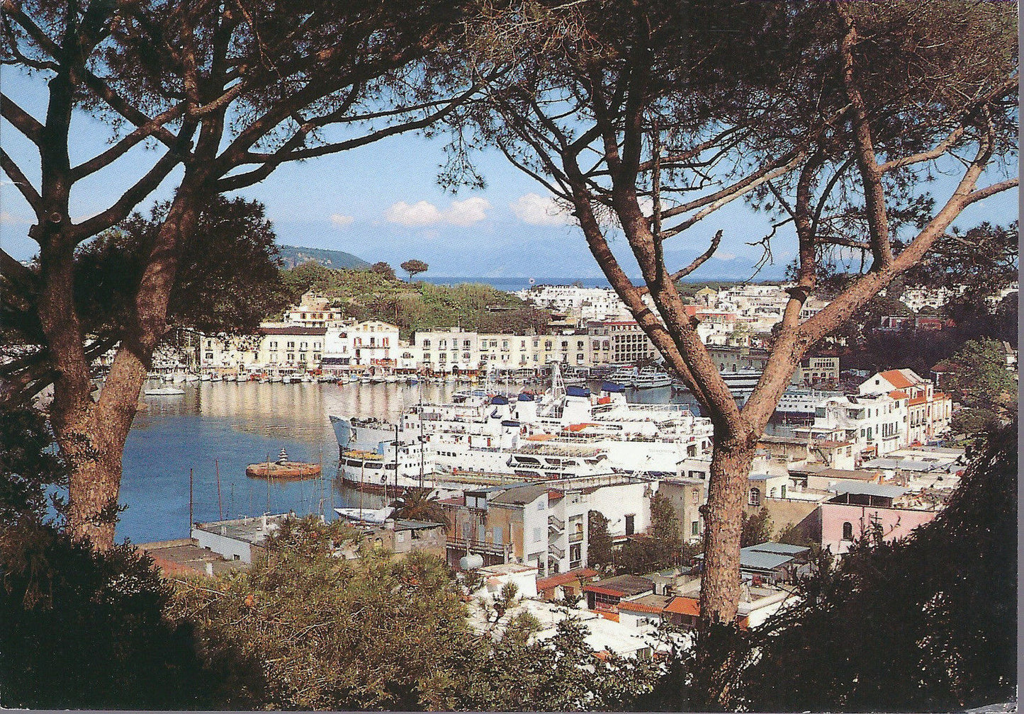 ISCHIA - IL PORTO - VSD - FG