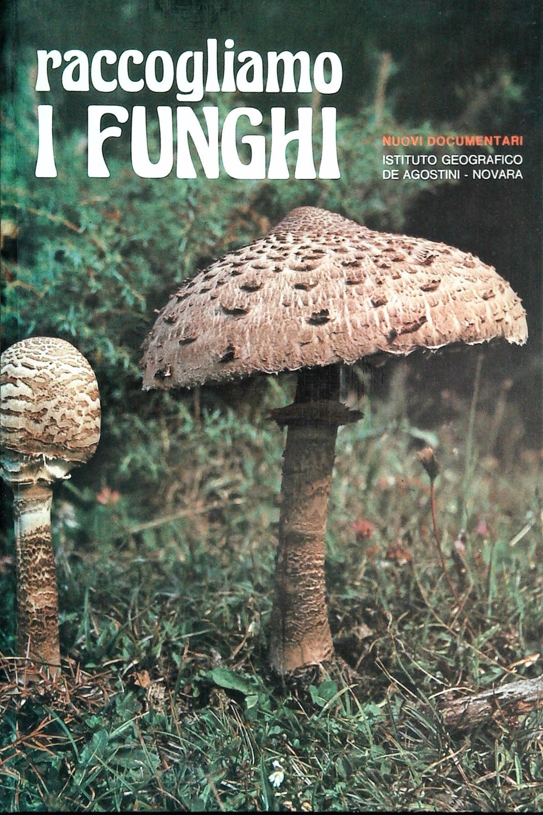 RACCOGLIAMO I FUNGHI  - UBERTO TOSCO