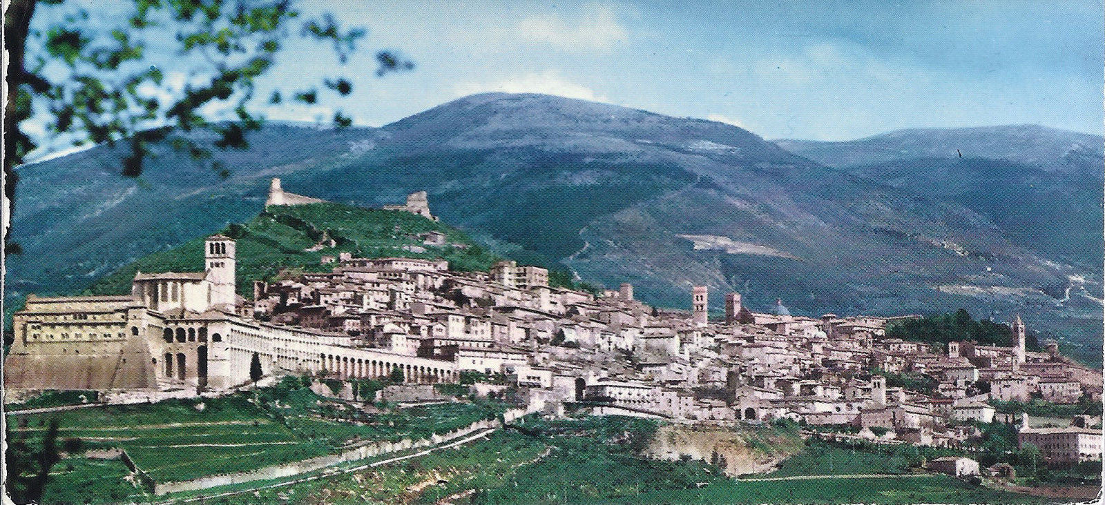 ASSISI - PANORAMA - NV - BABYCARD