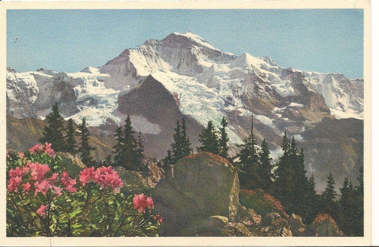 DIE JUNGFRAU - PANORAMA - NV/NG