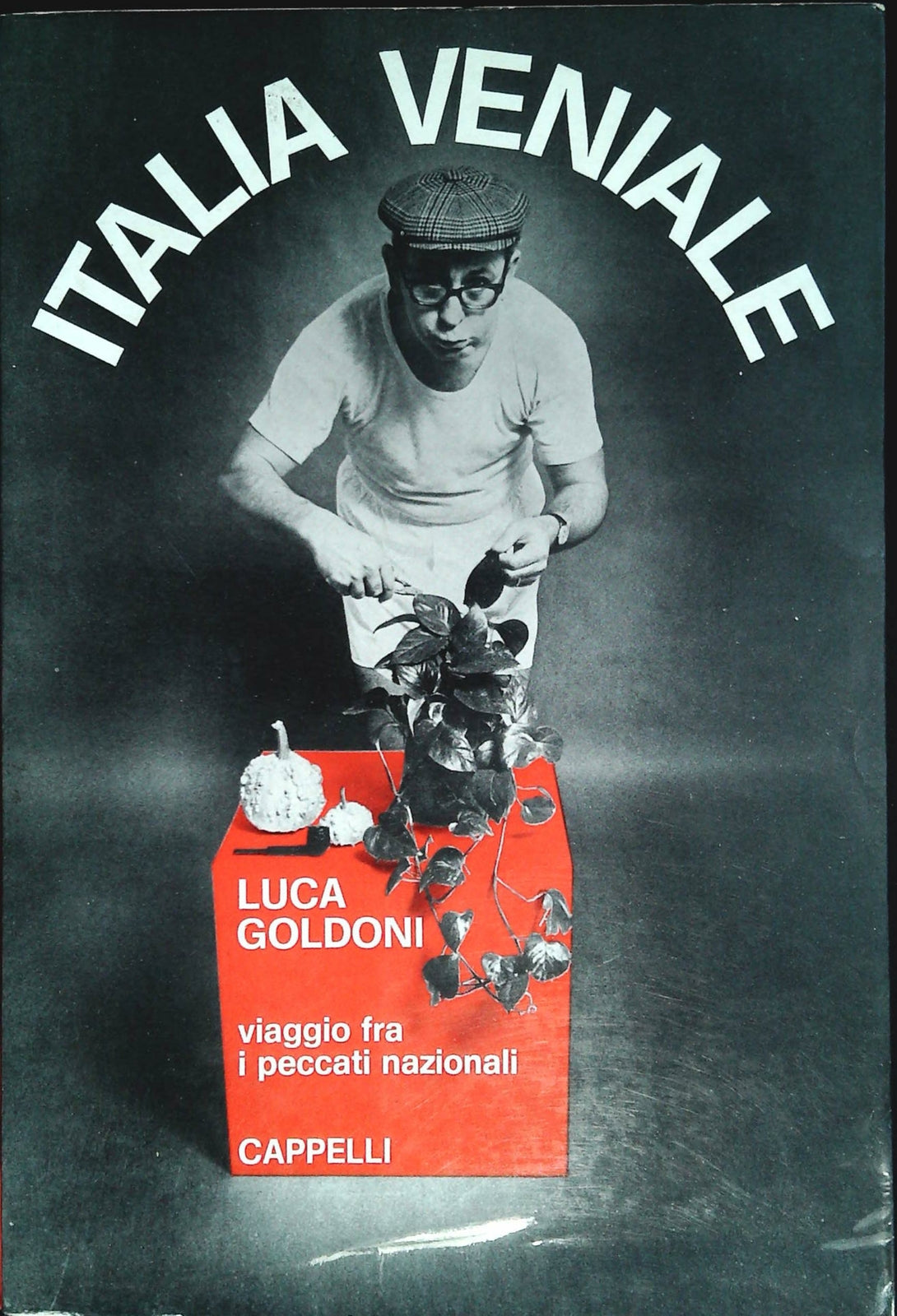 ITALIA VENIALE - LUCA GOLDONI