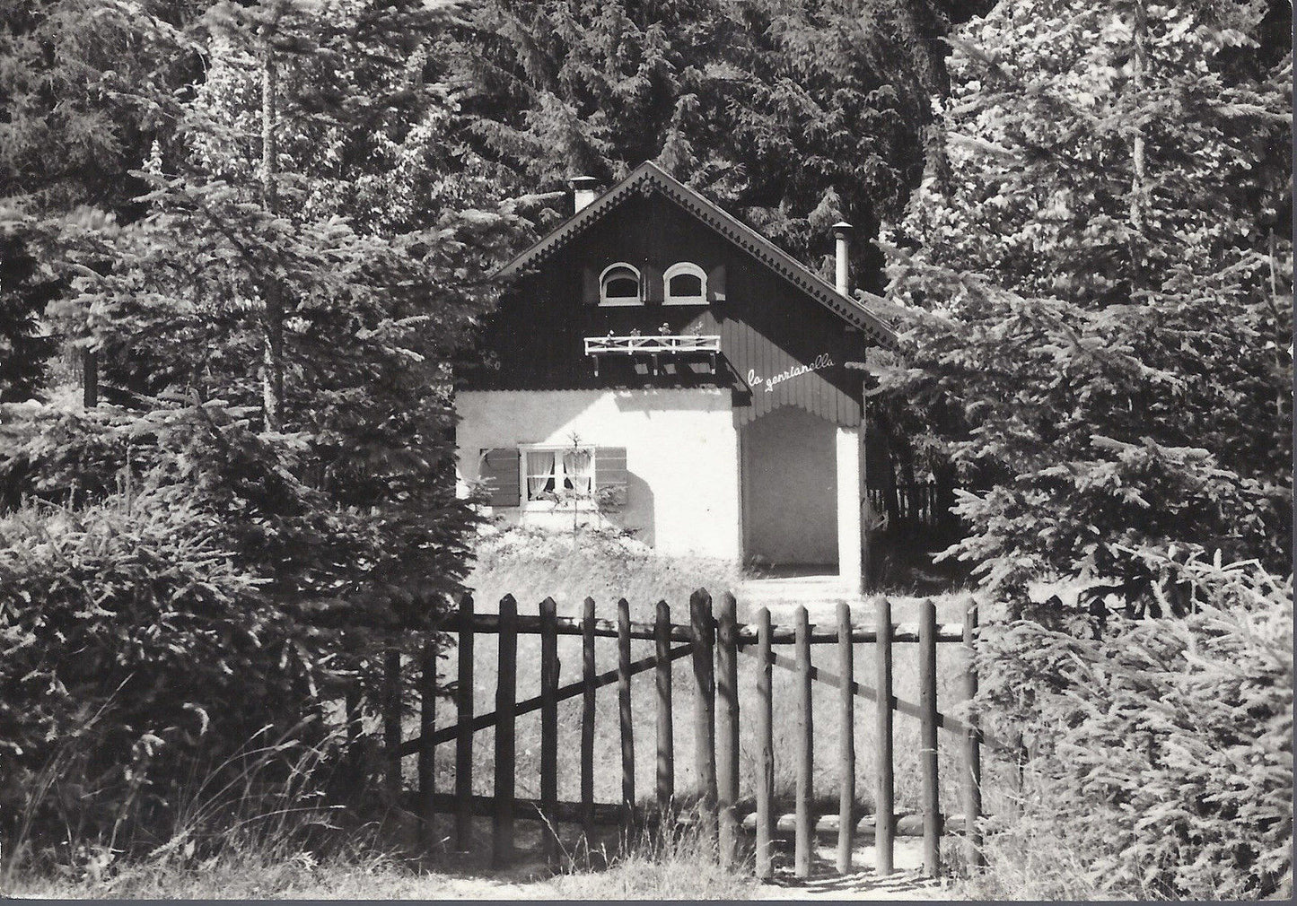 VALLE DI SELLA - LA GENZIANELLA - V1964