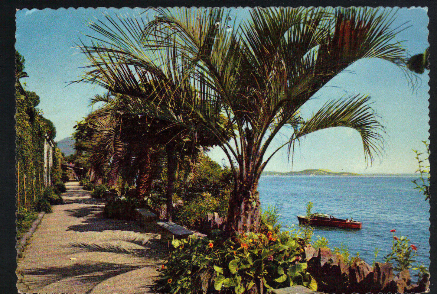 GIARDINI DELL'ISOLA MADRE - LAGO MAGGIORE - VSD