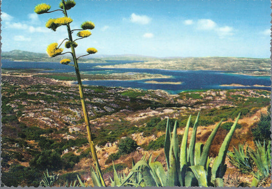 LA MADDALENA - CAPRERA - CALA GARIBALDI - NV