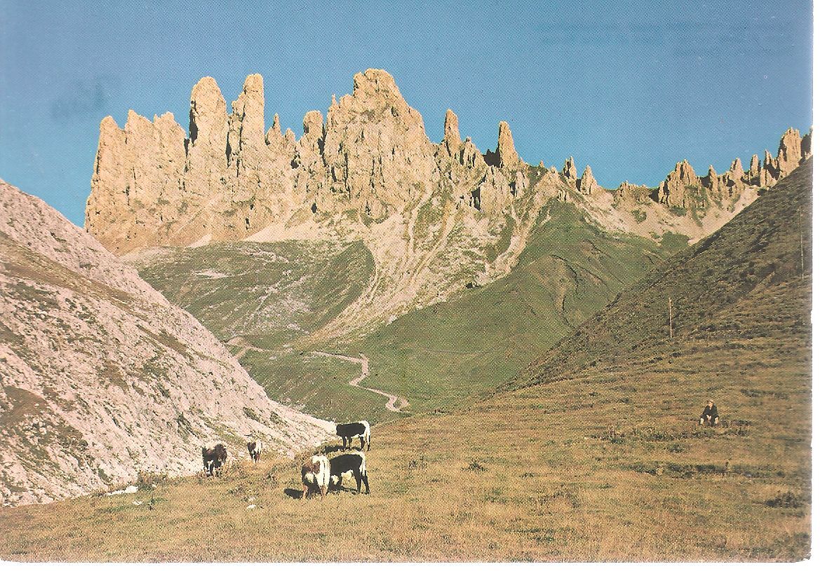 SEISER ALM gegen den ROSSZAHNEN - ALPE DI SIUSI verso I DENT