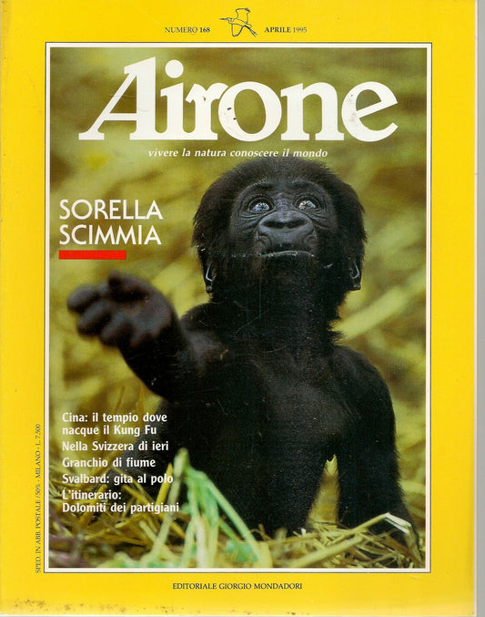 AIRONE N. 168 - APRILE 1995 - SORELLA SCIMMIA