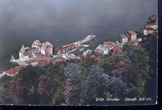 GOLFO PARADISO - CAMOGLI DALL'ALTO - V1955 - ACQUARELLA