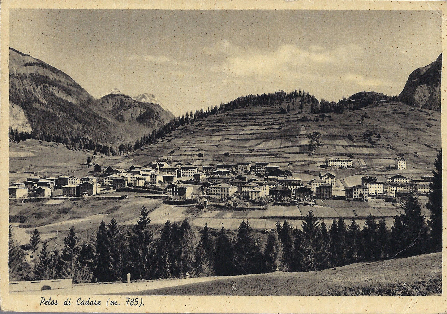 PELOS DI CADORE - V 1981