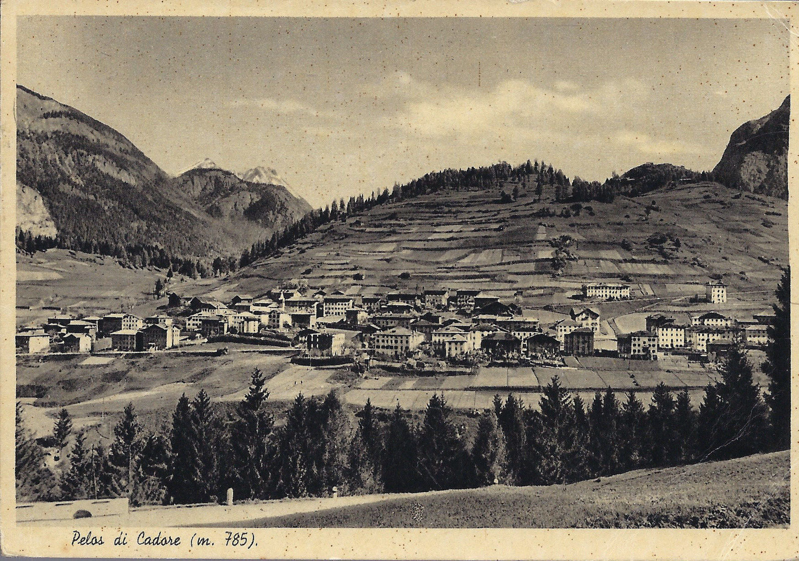 PELOS DI CADORE - V 1981