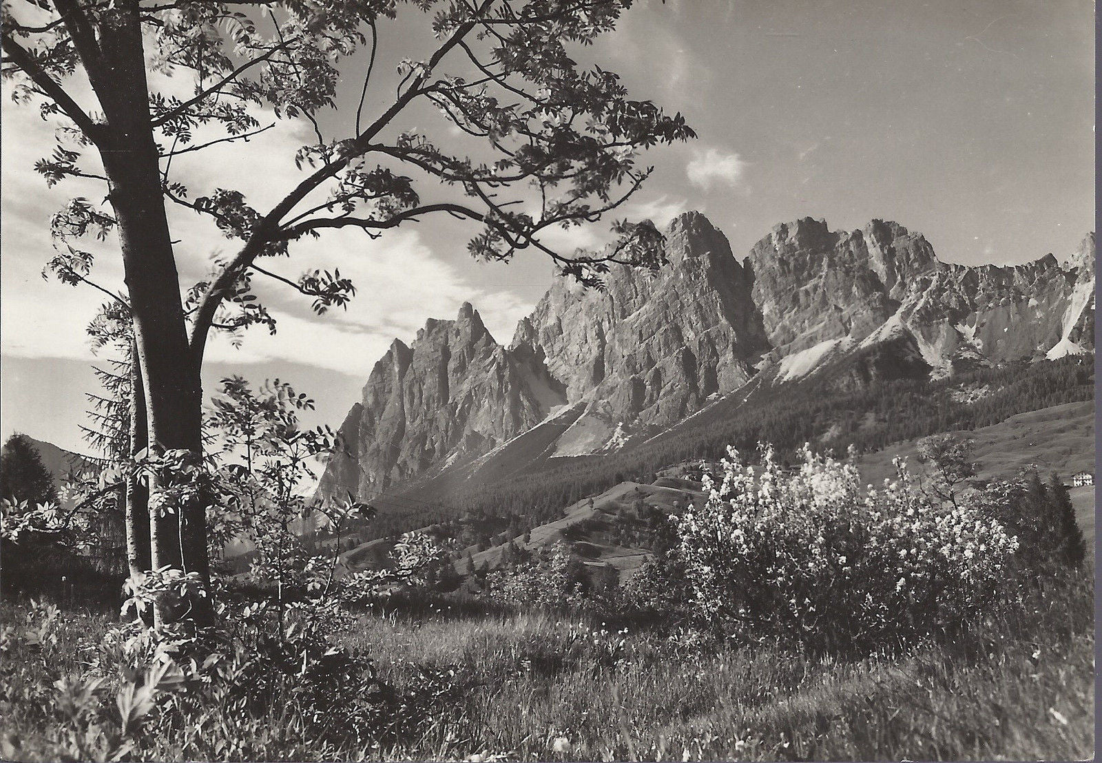 CORTINA - IL POMAGAGNON - NV - FG