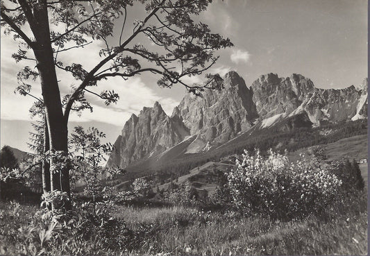 CORTINA - IL POMAGAGNON - NV - FG