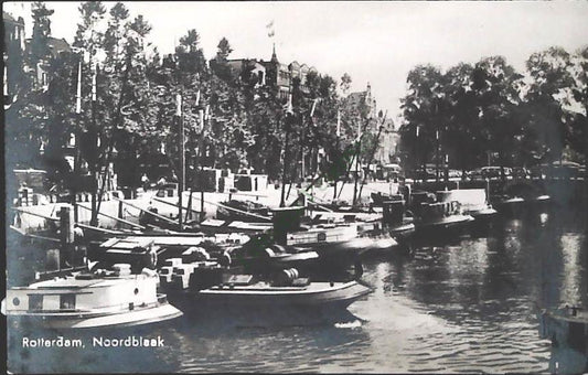 ROTTERDAM - NNBORDBLAAK - NV