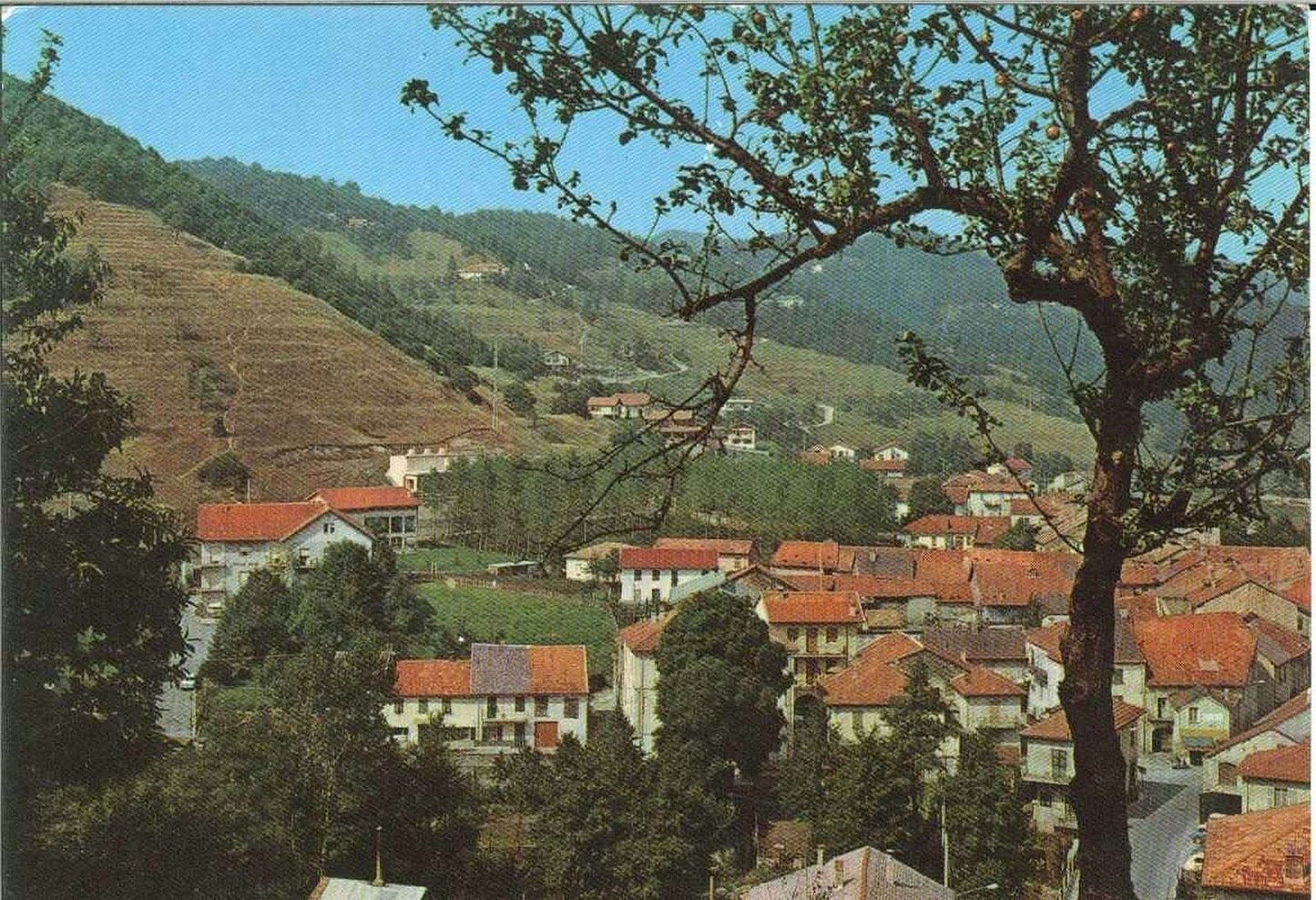 CALIZZANO - SAVONA - PANORAMA