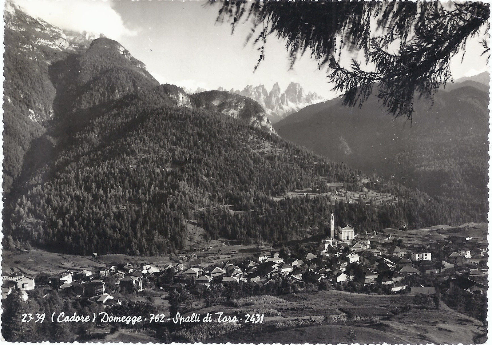 DOMEGGE - CADORE - SPALTI DI TORO - V 1957 - FG