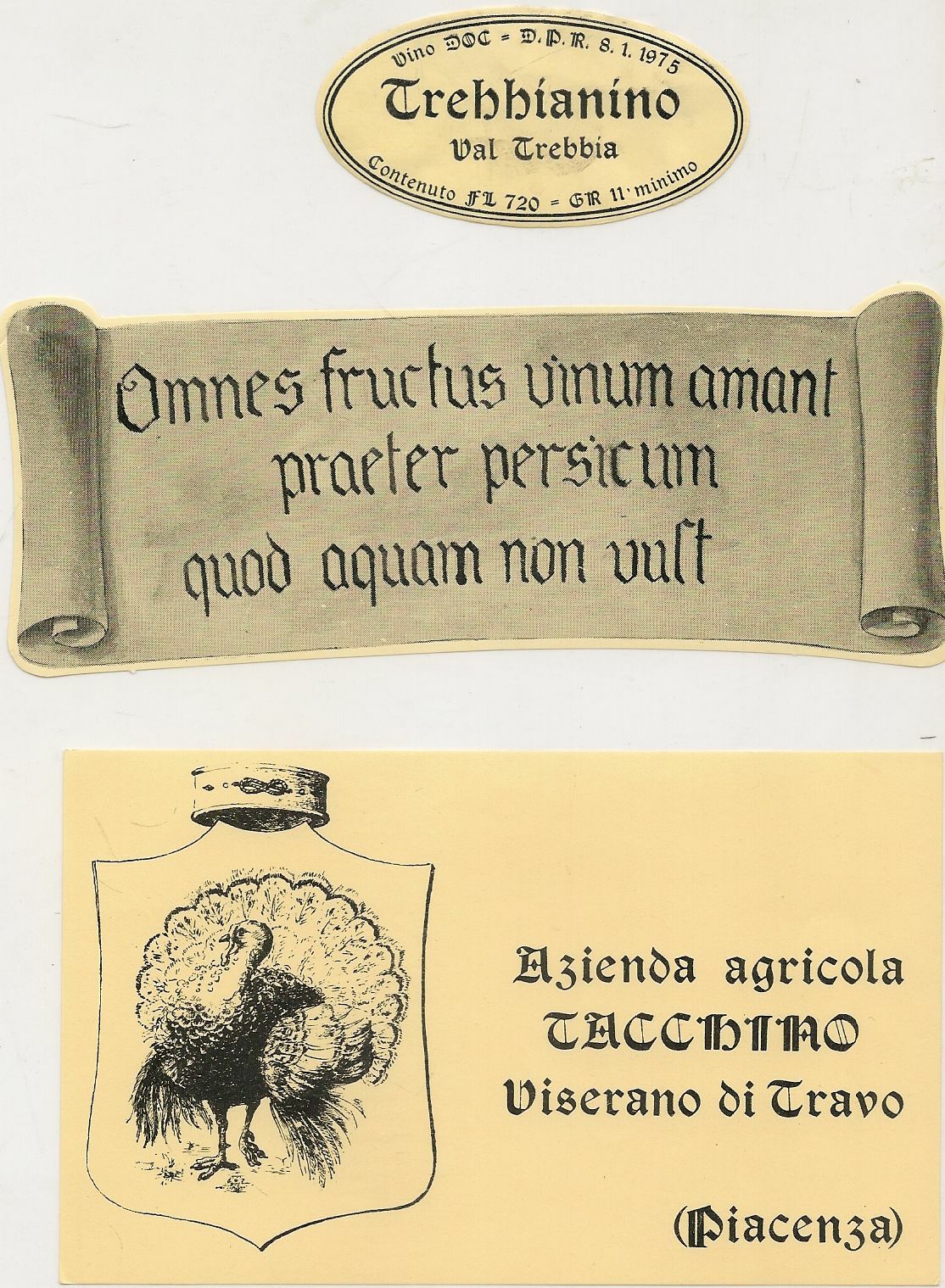 TREBBIANINO VAL TREBBIA - AZ. AG.TACCHINO VISERANO DI TRAVO - ETICHETTA VINO