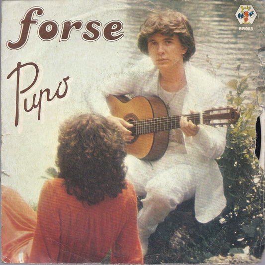FORSE - CERCAMI ANCORA # PUPO