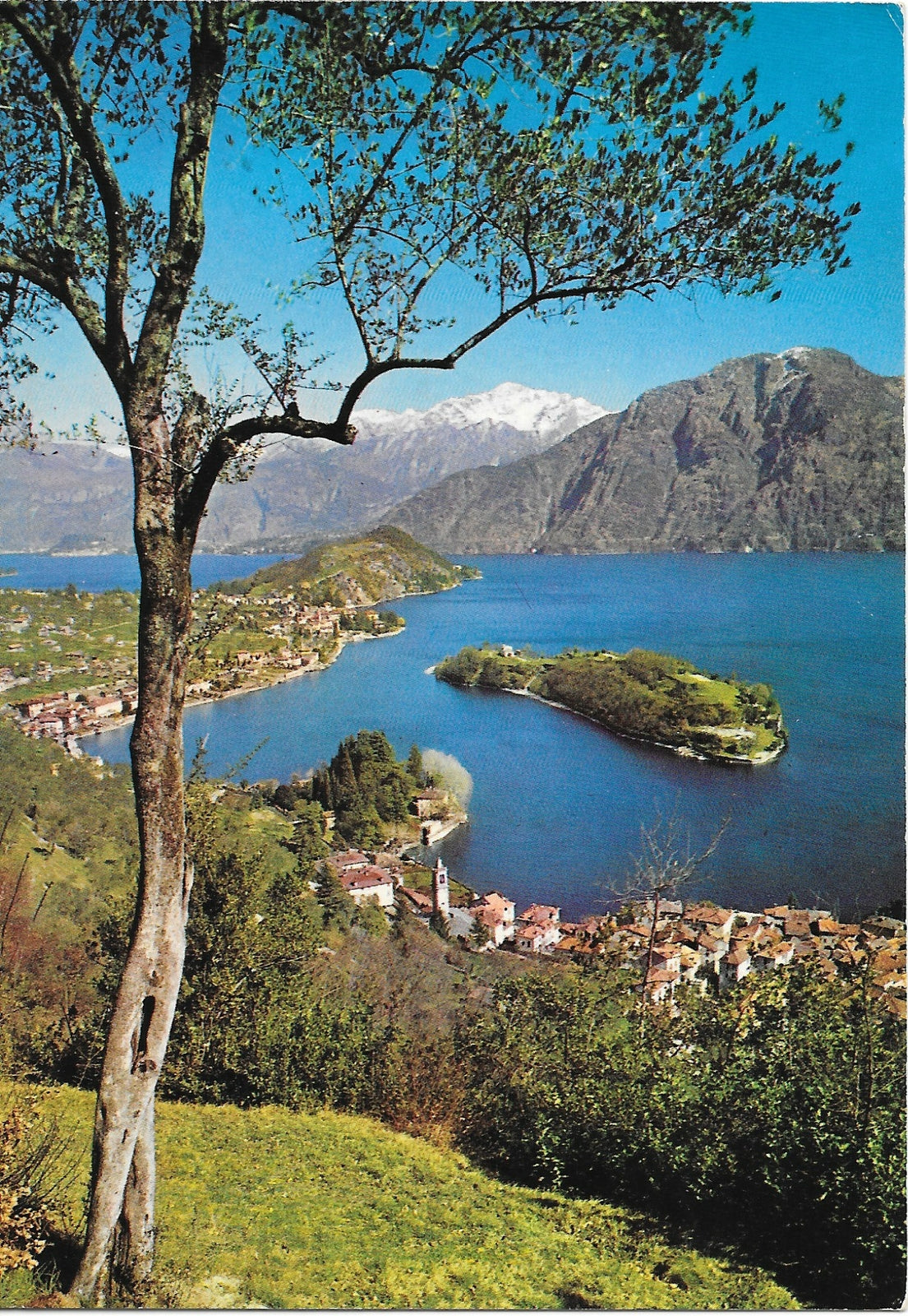 SALA E ISOLA COMACINA - LAGO DI COMO - PANORAMA - VIAGGIATA