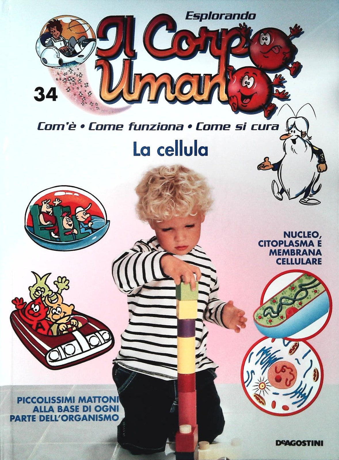 ESPLORANDO IL CORPO UMANO N. 34 - LA CELLULA - DE AGOSTINI 2004