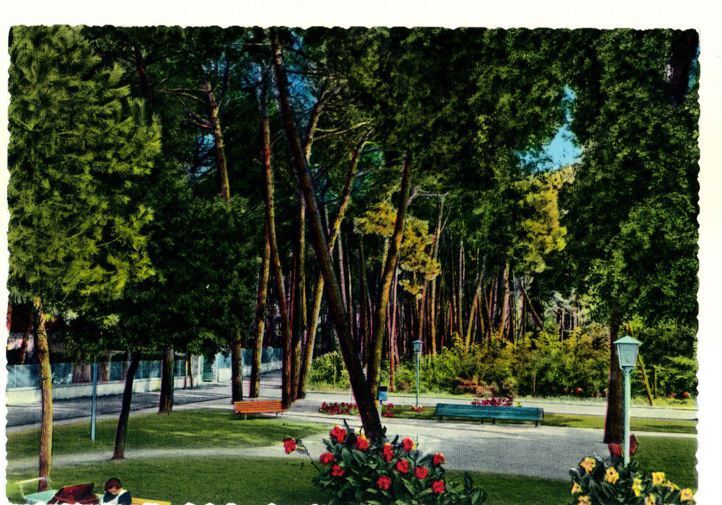 FORTE DEI MARMI - PINETA - NV