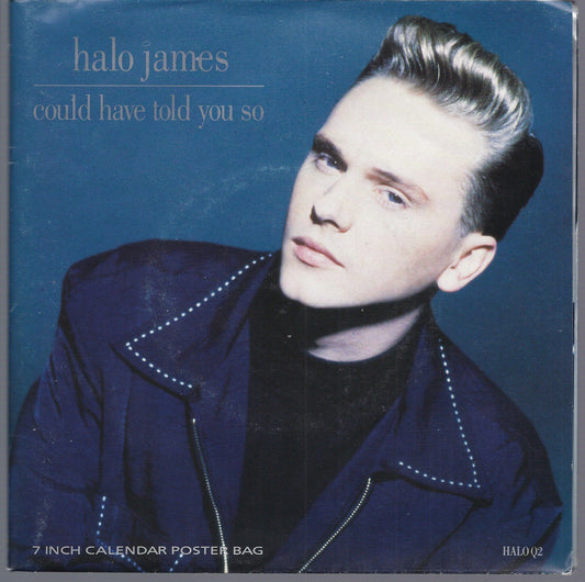 COULD HAVE TOLD YOU SO - WELL OF SOULS -- HALO JAMES   calendar poster bag