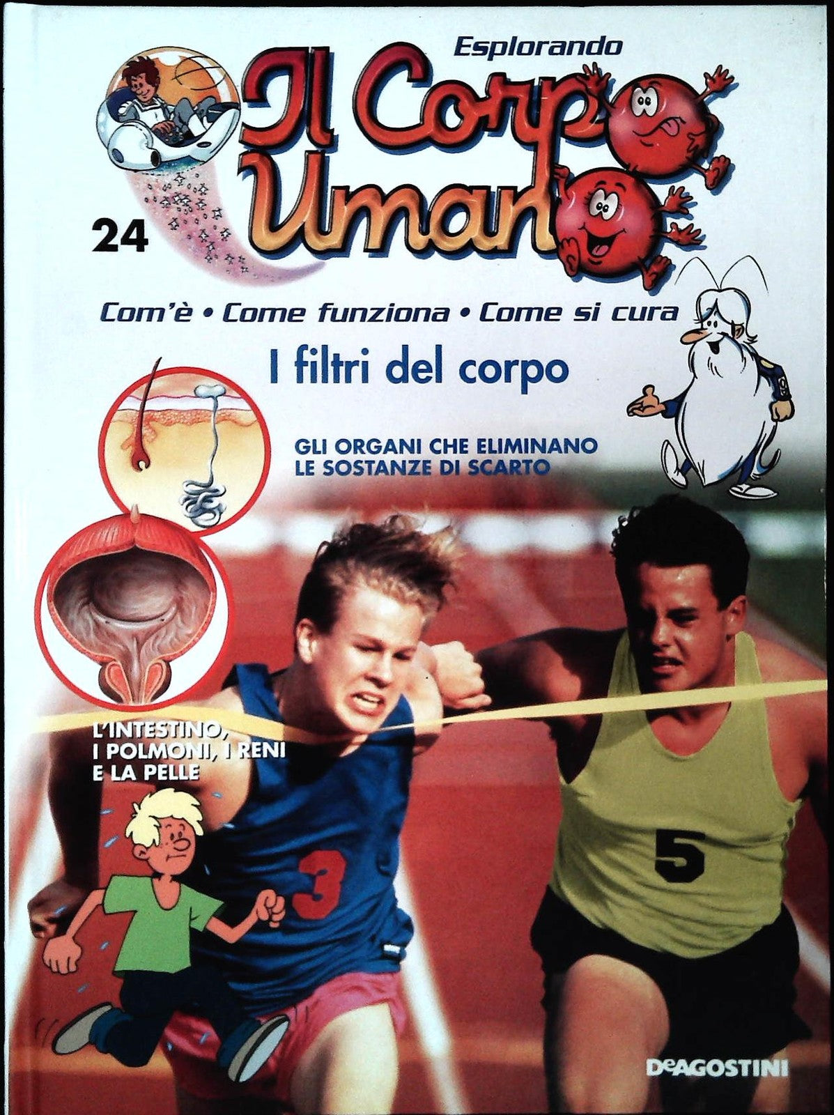 ESPLORANDO IL CORPO UMANO N. 24 - I FILTRI DEL CORPO - DE AGOSTINI 2004